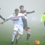 borriello