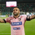 Miccoli