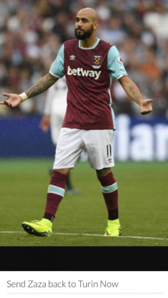Zaza