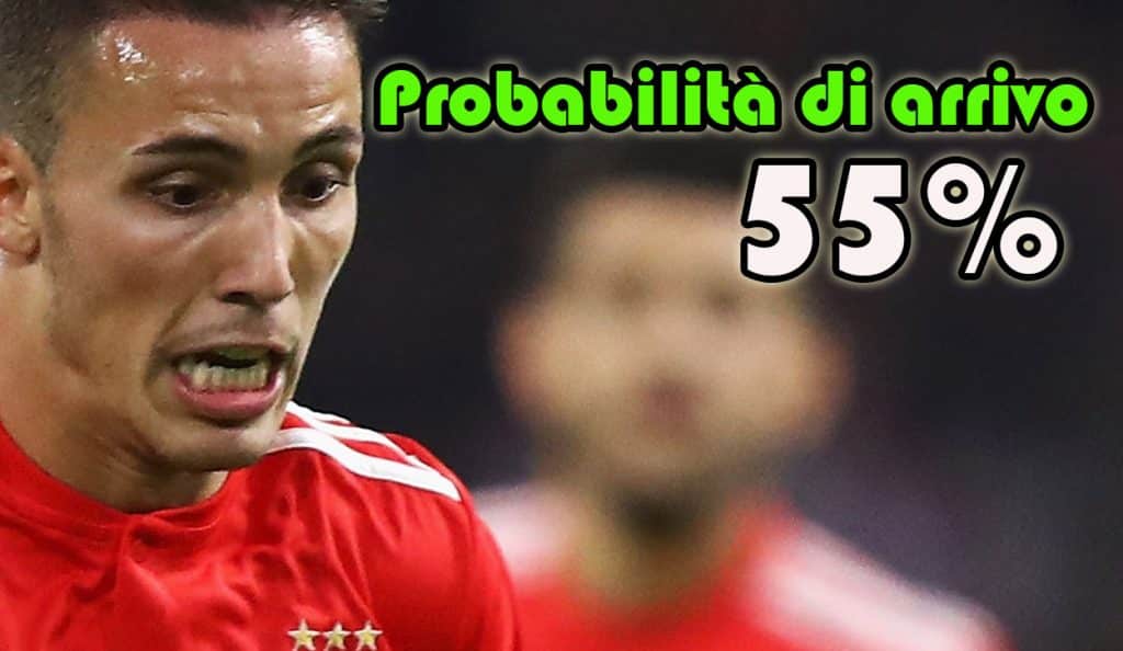 Alex Grimaldo