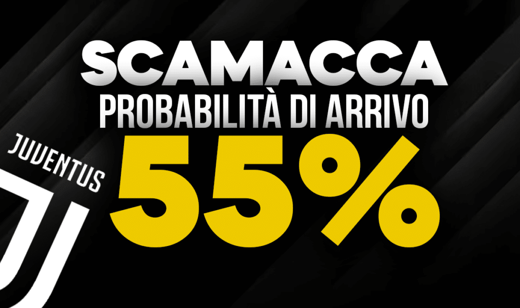 Scamacca