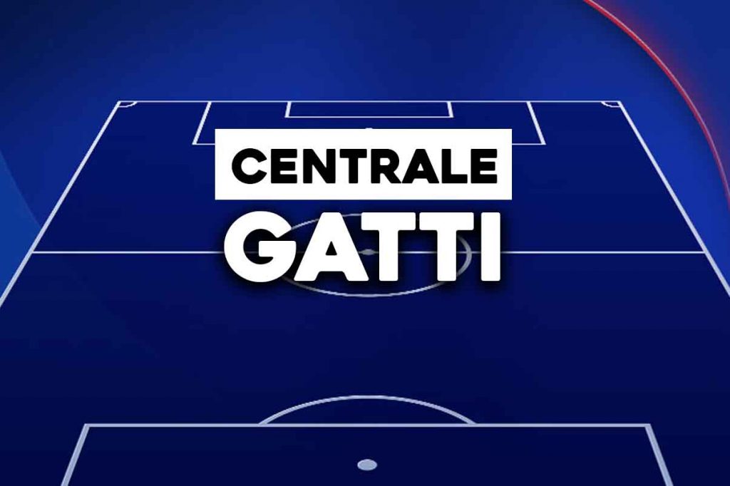 Gatti